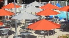 La Cantine - Bistro Contemporain Français
