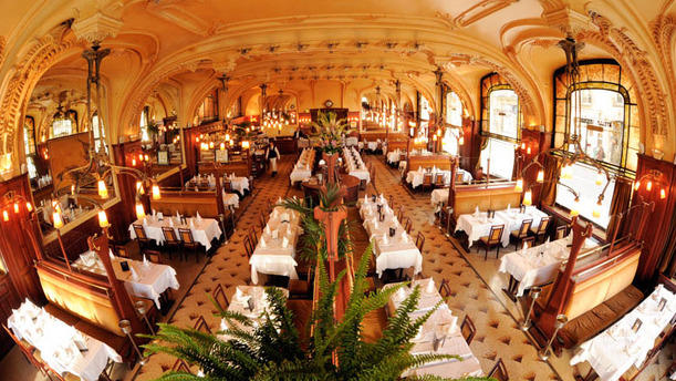 Brasserie Excelsior