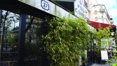 Reveillon 2019 2020 Au Restaurant Maffliers Repas Dansant Pour Feter Le Nouvel An