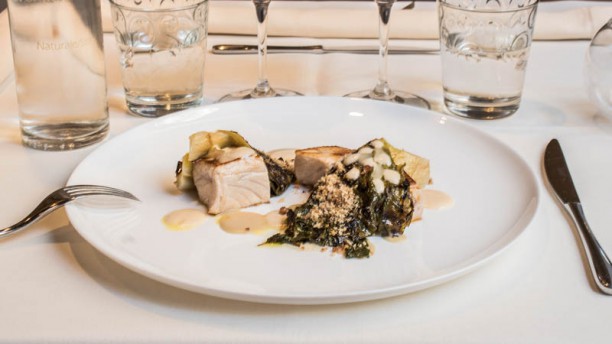 Orlando Suggerimento dello chef