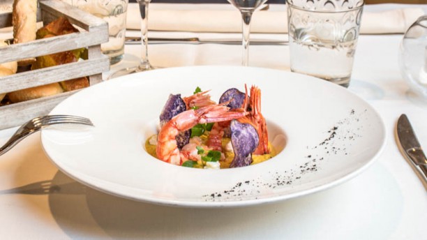 Orlando Suggerimento dello chef