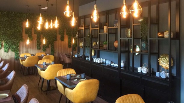 Shari Sushi Bar Sala