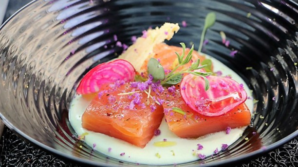 Bus Toqué 2ème étape saumon mariné