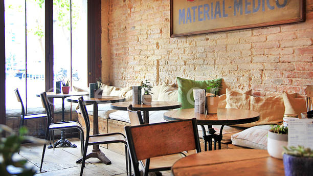 Café Búho vista interior