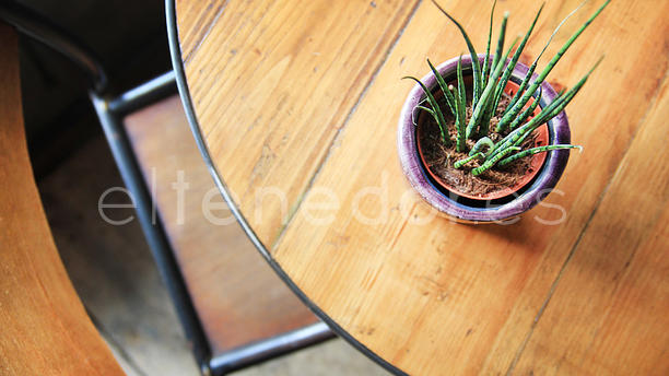 Café Búho vista interior