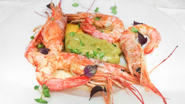 Dona Quitéria Camarão