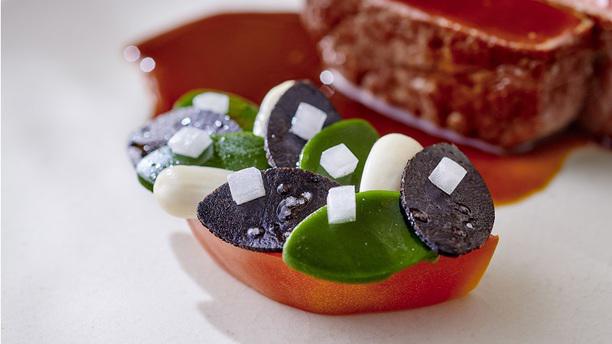 Marsan - Hélène Darroze Marsan