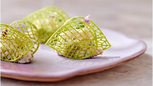 Marsan - Hélène Darroze Marsan