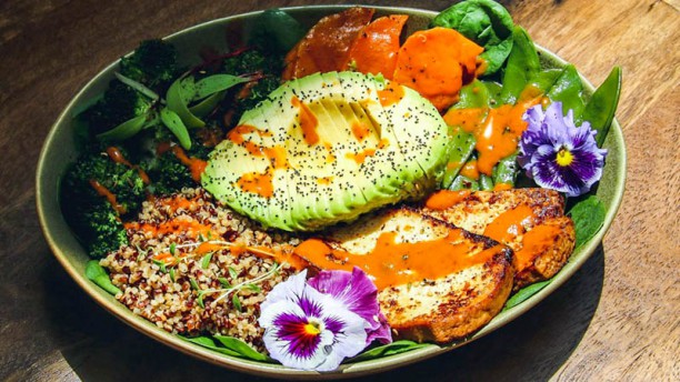 Avocado House Lisbon Sugestão do chef