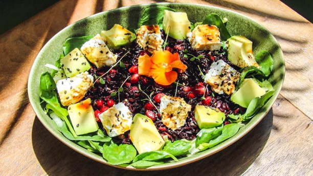 Avocado House Lisbon Sugestão do chef