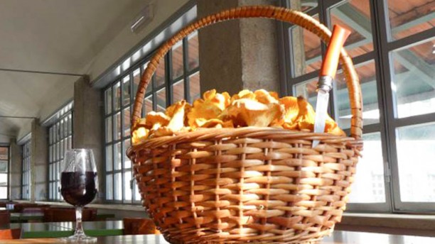 Santa Clara dos Cogumelos cesto