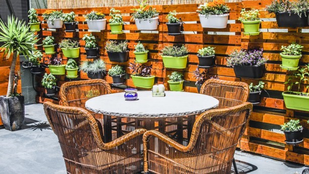 Aromas da Beira Baixa Terraza