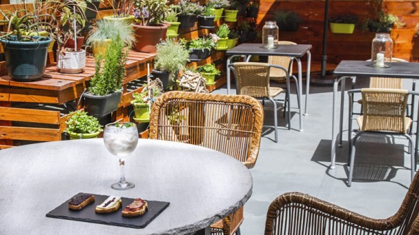 Aromas da Beira Baixa Terraza