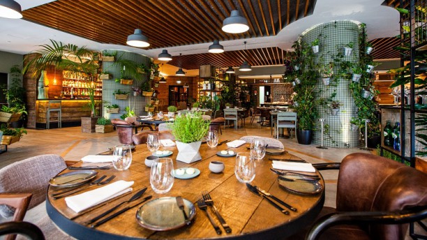 Erva 8 Sala com show kitchen