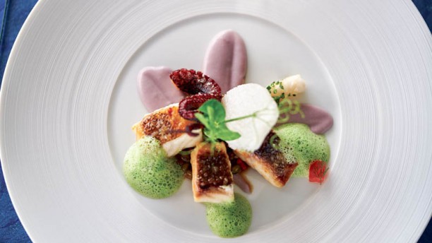 William Restaurant Sugestão do chef