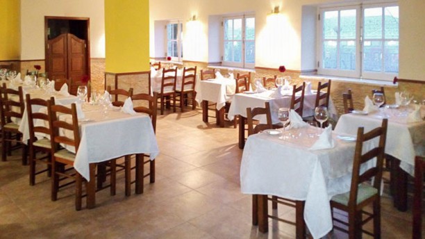 Metamorphosis vista sala