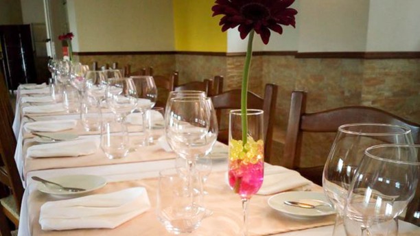 Metamorphosis vista sala