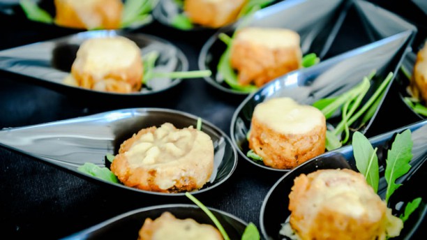 Cavalo Lusitano sugestão entrada