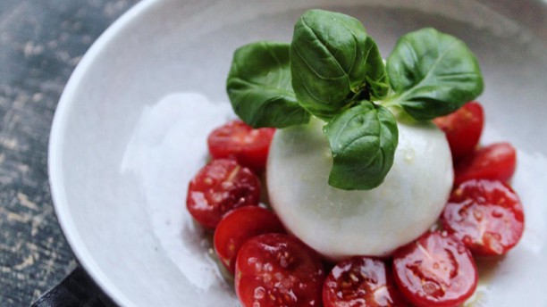 Pipistrello Suggestie