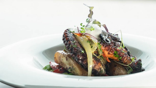 Alambique Sugerencia