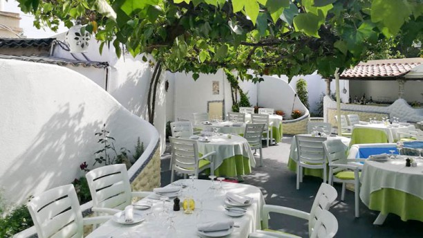 Mr. Freddie`s Eplanada