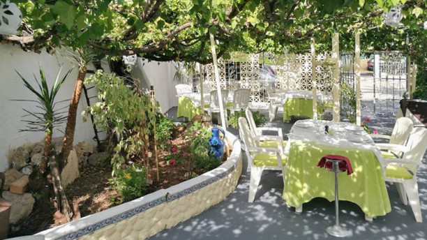 Mr. Freddie`s Eplanada