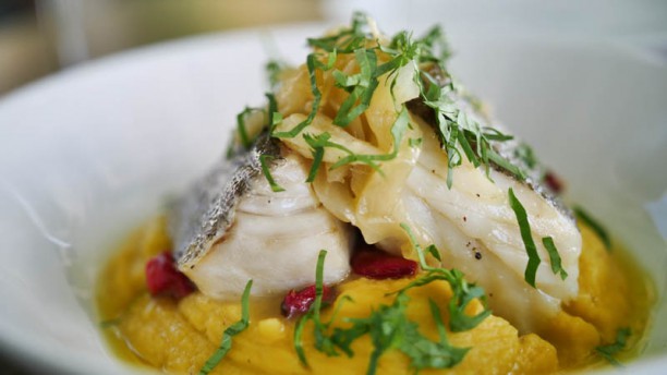 Le Chat Sugestão do chef