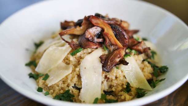 Le Chat Sugestão do chef