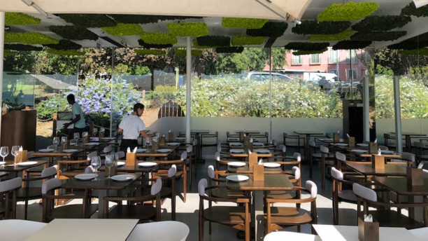 Le Chat Vista da sala