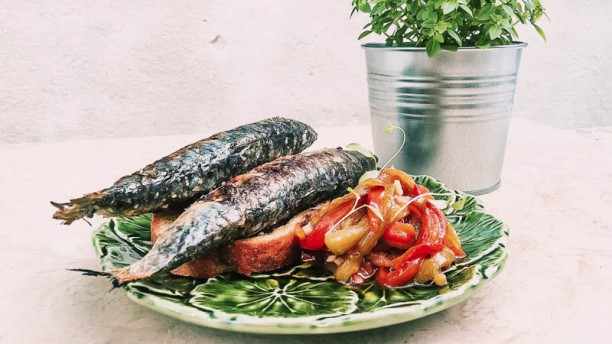 Petisqueira Conqvistador Sugestão do chef