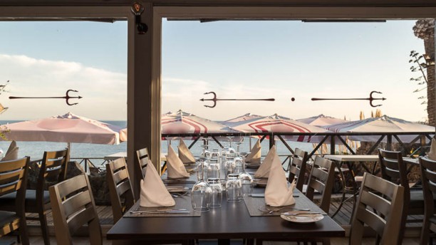 Os Prazeres da Carne Vista da sala