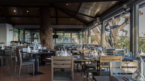 Os Prazeres da Carne Vista da sala