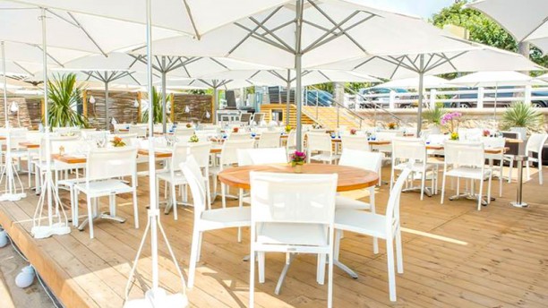 Plage Belle Plage In Cannes Restaurant Reviews Menu And