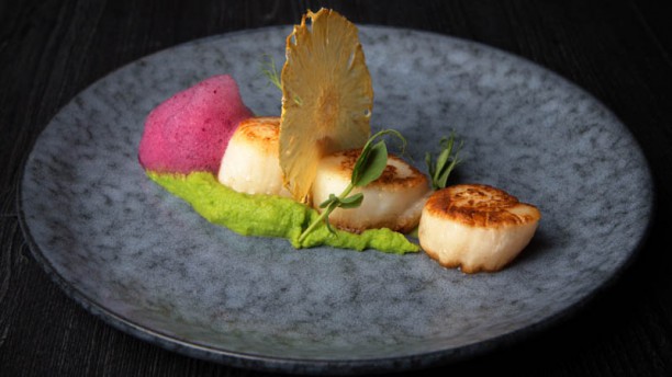 ISO Lisboa Vieiras salteadas, puré de ervilhas e espuma de beterraba