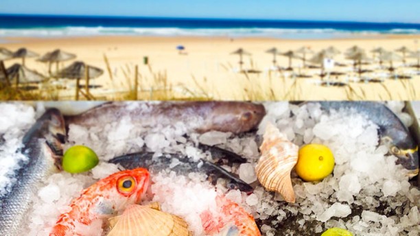 Pelicano Restaurant & Beach suggestao