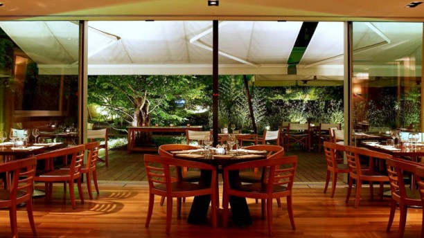 Woods at InterContinental Genève Rum