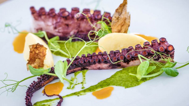 VINUM Restaurant and Wine Bar Especialidade do chef