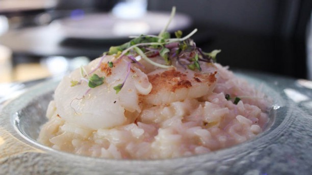 B Lounge - Hotel Barceló Raval Sugerencia de plato