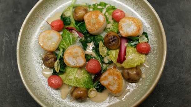 Nomicos Suggestion de plat