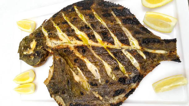 Ópina Sugestão prato