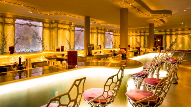 Bar pour celibataire a toulouse