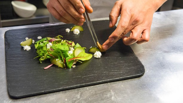 Il Nido del Pettirosso Suggerimento dello chef