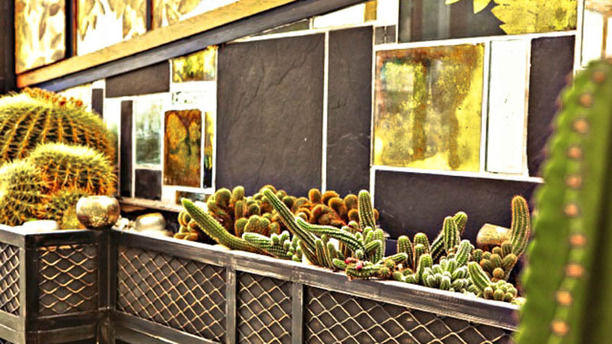 La Nouvelle Seine Cactus