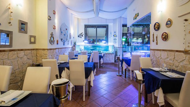 Pesce Vivo A Roma Menu Prezzi Immagini Recensioni E Indirizzo