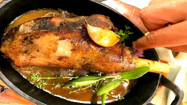 Aura Vinea Perna de Borrego