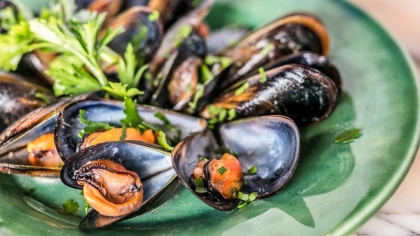 Pesqueiro 25 Sugestão do chef