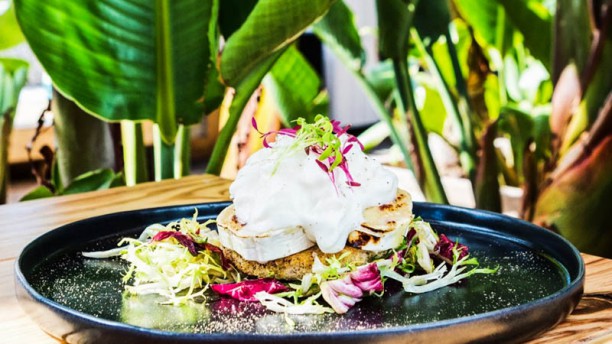 Ferroviário Bar Terraço Prato