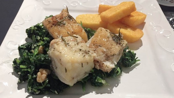 Sublime Food Drinks Plato