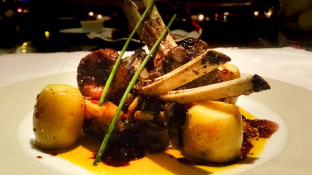 Trigo Latino Borrego