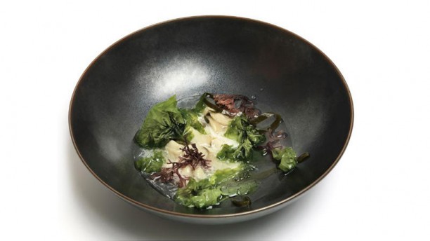 RiFF by Bernd H. Knöller Ostra de Valencia con algas